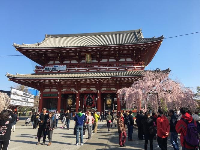 日本东京旅游景点（推荐在东京市游玩的热门景点和旅游路线）